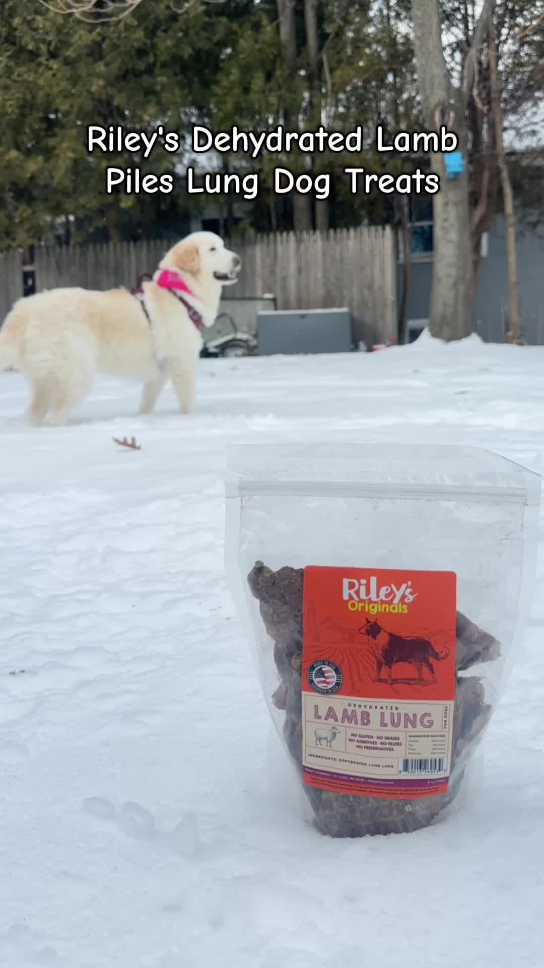 TikTok post by @chroniclesofbearandbou for PetMD Store. Caption reads: [...] the cart to grab a bag for your dog!....