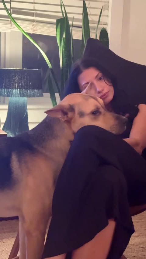 Instagram post by @cactustherescue for Open Farm Pet. Caption reads: Cactus had a great time socializing at his first....