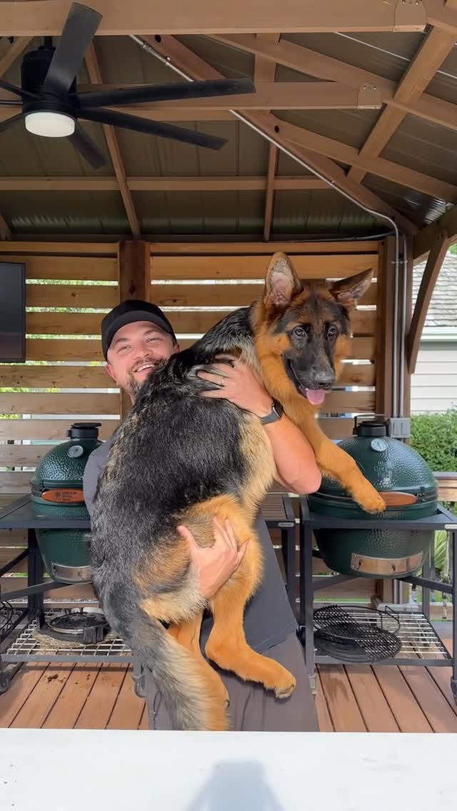 Instagram post by @grillin_with_dad for The Farmer's Dog. Caption reads: #ad Today we’re celebrating Dog Person Day and I....