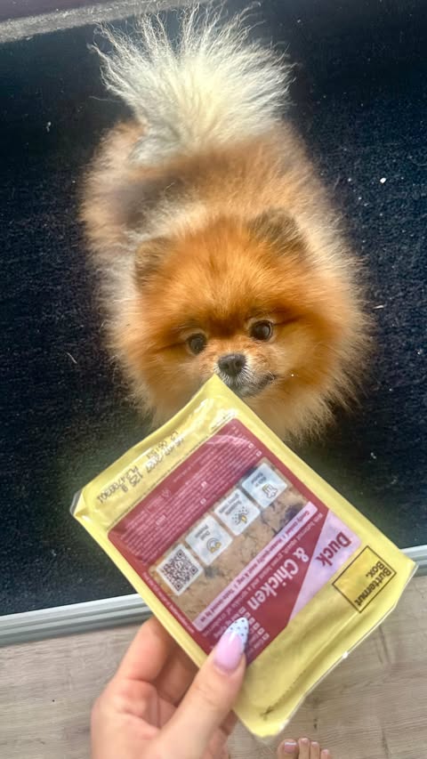 Instagram post by @simbapomeranian.x for Butternut Box. Caption reads: [...] even heard of, I love that with....