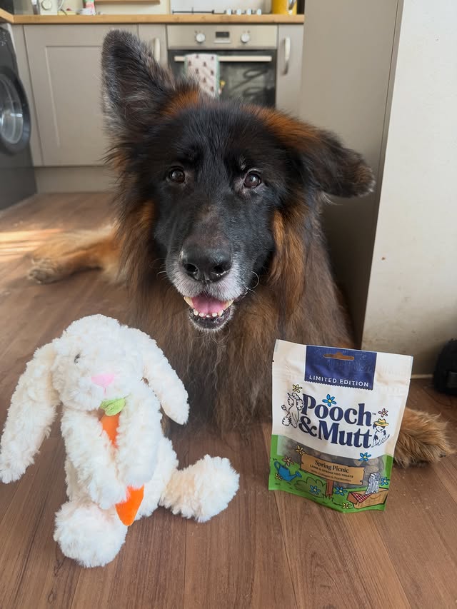 Instagram post by @thedevonpack for Pooch and Mutt. Caption reads: Have you guys seen @poochandmutt have brought out....