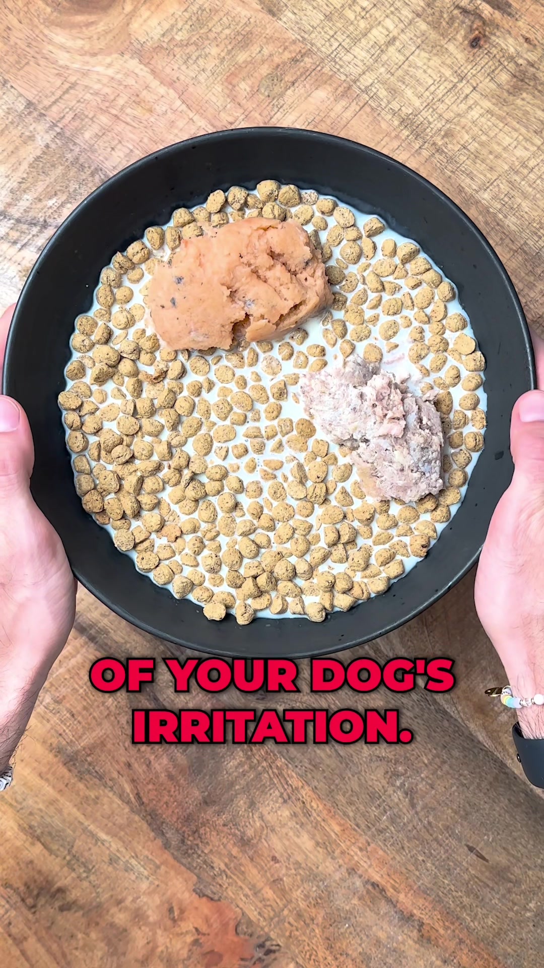 TikTok post by @thebkpets for Oma's Pride. Caption reads: [...] #thebkpets #rawfeddogs #rawdogfood....