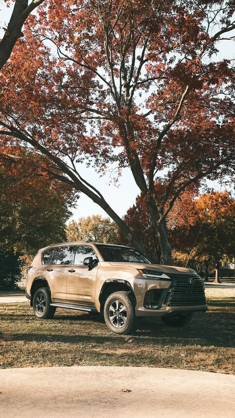 Instagram post by @dtkaustin for Lexus. Caption reads: The best kind of holiday shopping is the kind that....