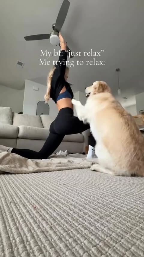 Instagram post by @kaylapatterson for lululemon. Caption reads: In goldens we trust🫡

 #goldenretriever....