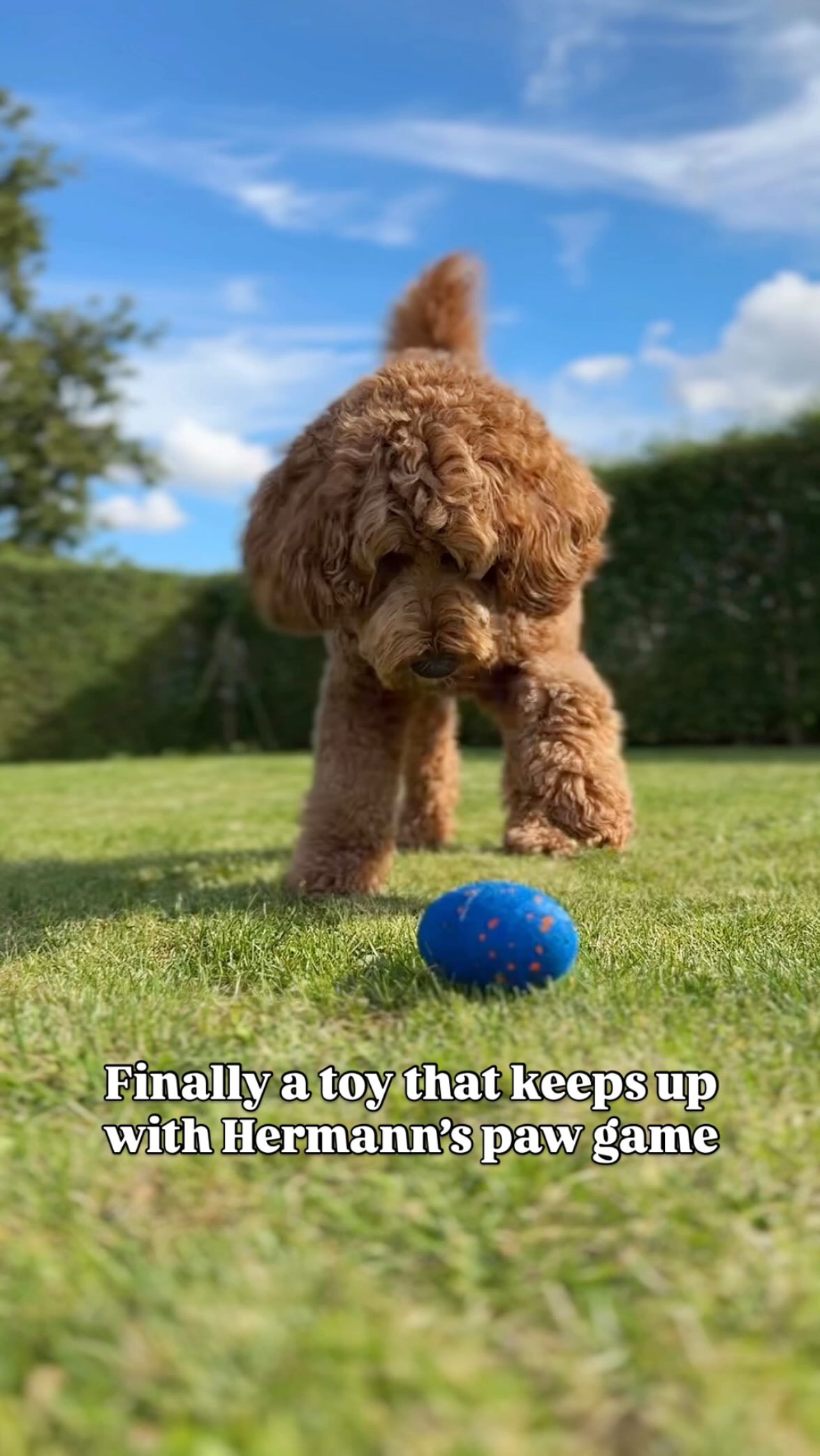 Instagram post by @goodboihermann for Cheerble. Caption reads: 𝗣𝗮𝘄 𝗴𝗮𝗺𝗲 𝗼𝗻 𝗙𝗜𝗥𝗘 🔥😂.. This was SO....