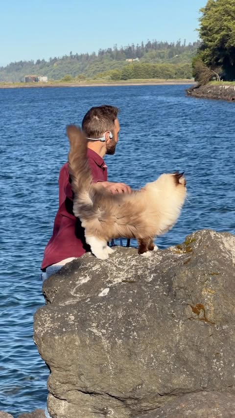 Instagram post by @floofygoose for Shokz. Caption reads: [...] OpenRun Pro 2 open-ear headphones from....