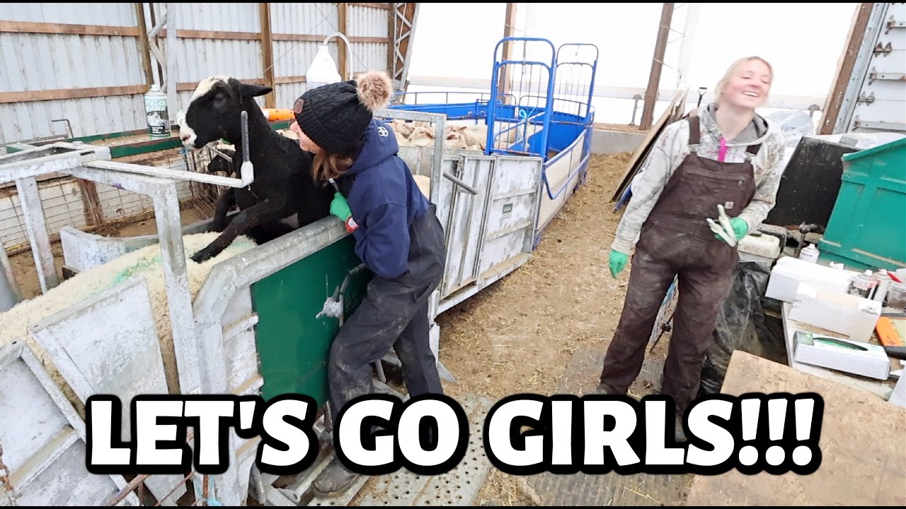 YouTube post by @SandiBrock for Flodesk. Caption reads: FALL FARM VLOG: Planning for 2026 lambing....