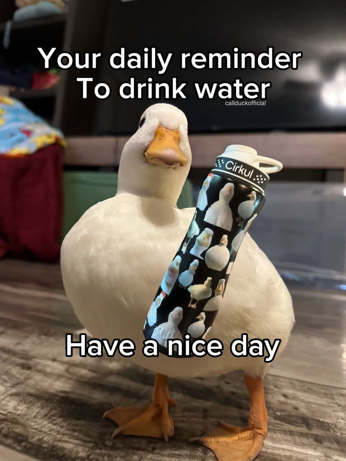 Instagram post by @callduckofficial for Cirkul. Caption reads: Stay hydrated.