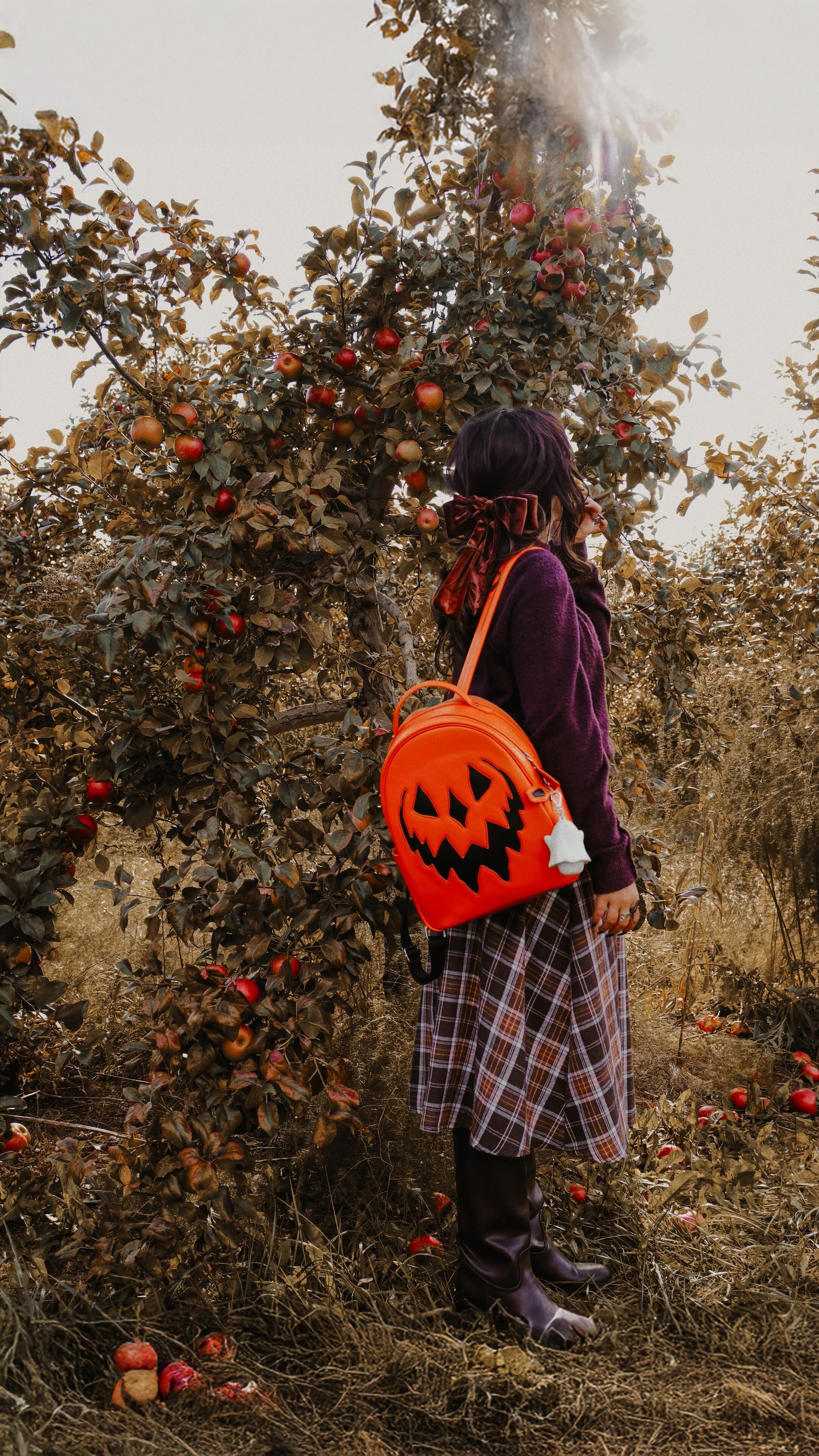 Instagram post by @livelyghosts for Travel Wisconsin. Caption reads: [...] the autumn wonderland of....