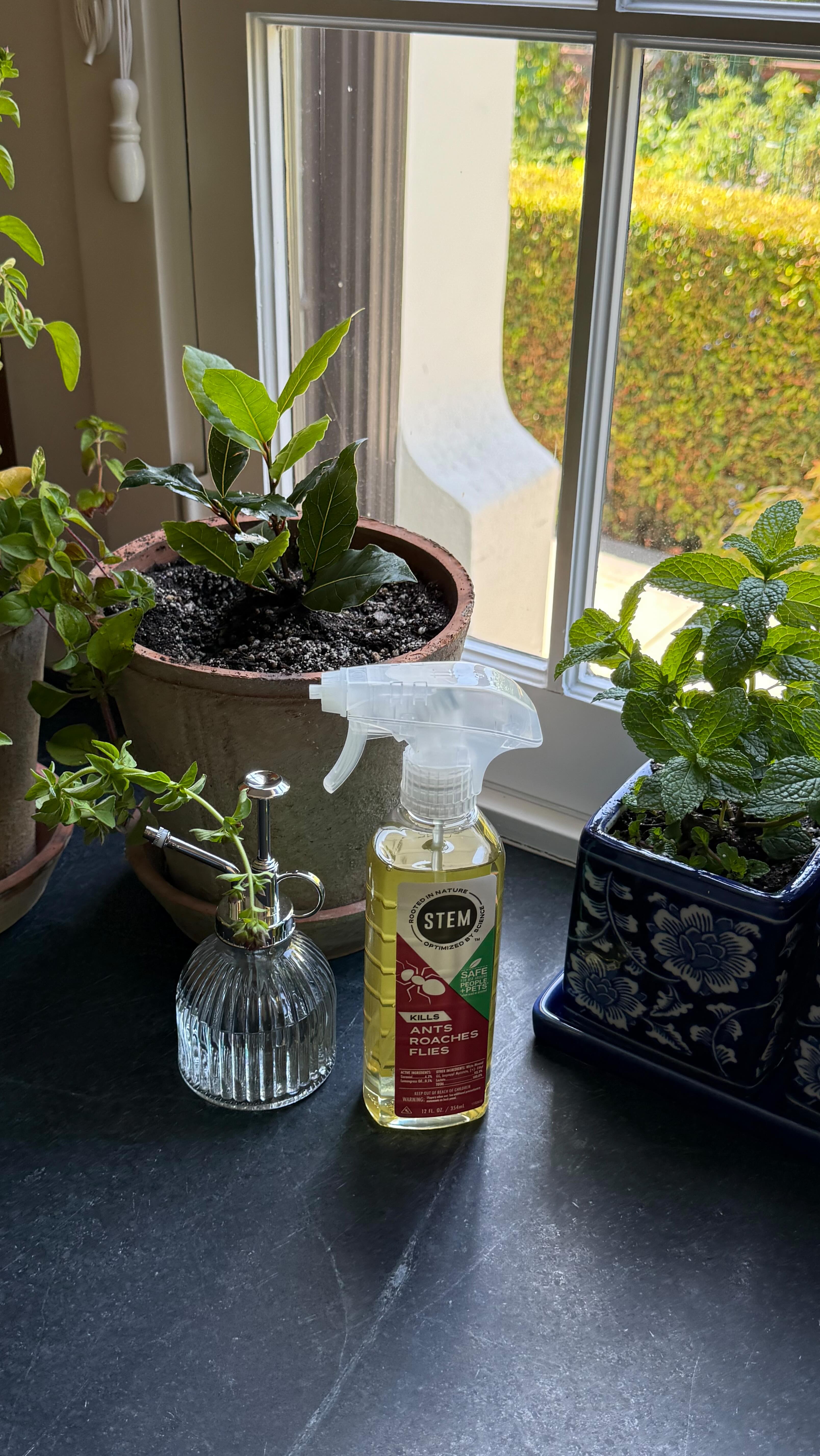 Instagram post by @carmeninthegarden for STEMforBugs. Caption reads: #STEMPartner Bringing the garden indoors for fall....