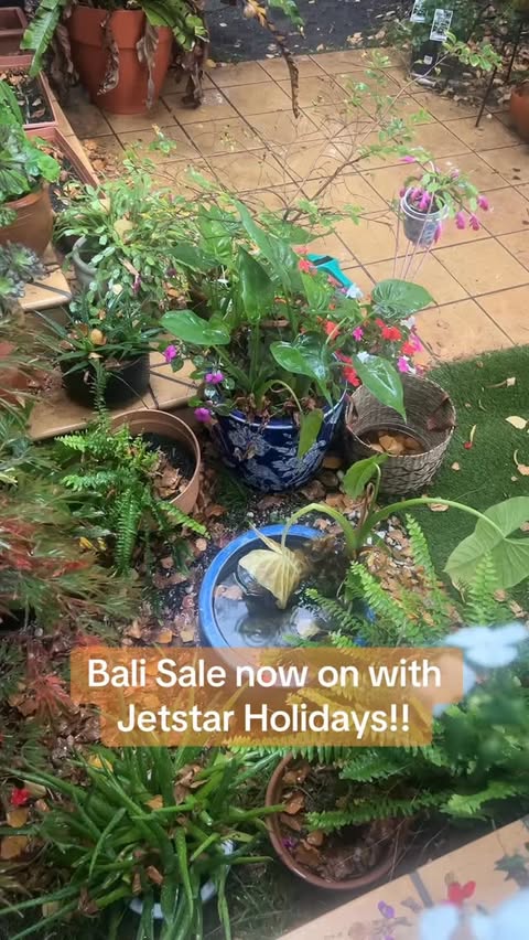 Instagram post by @kateforsterwrites for Jetstar. Caption reads: Head to @jetstaraustralia for their Bali sale!....