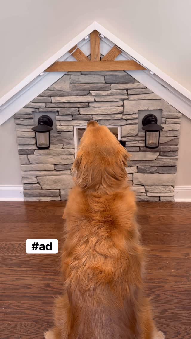 Instagram post by @aguyandagoldenn for GoodRx. Caption reads: #Ad Teddy took matters into his own paws and set....