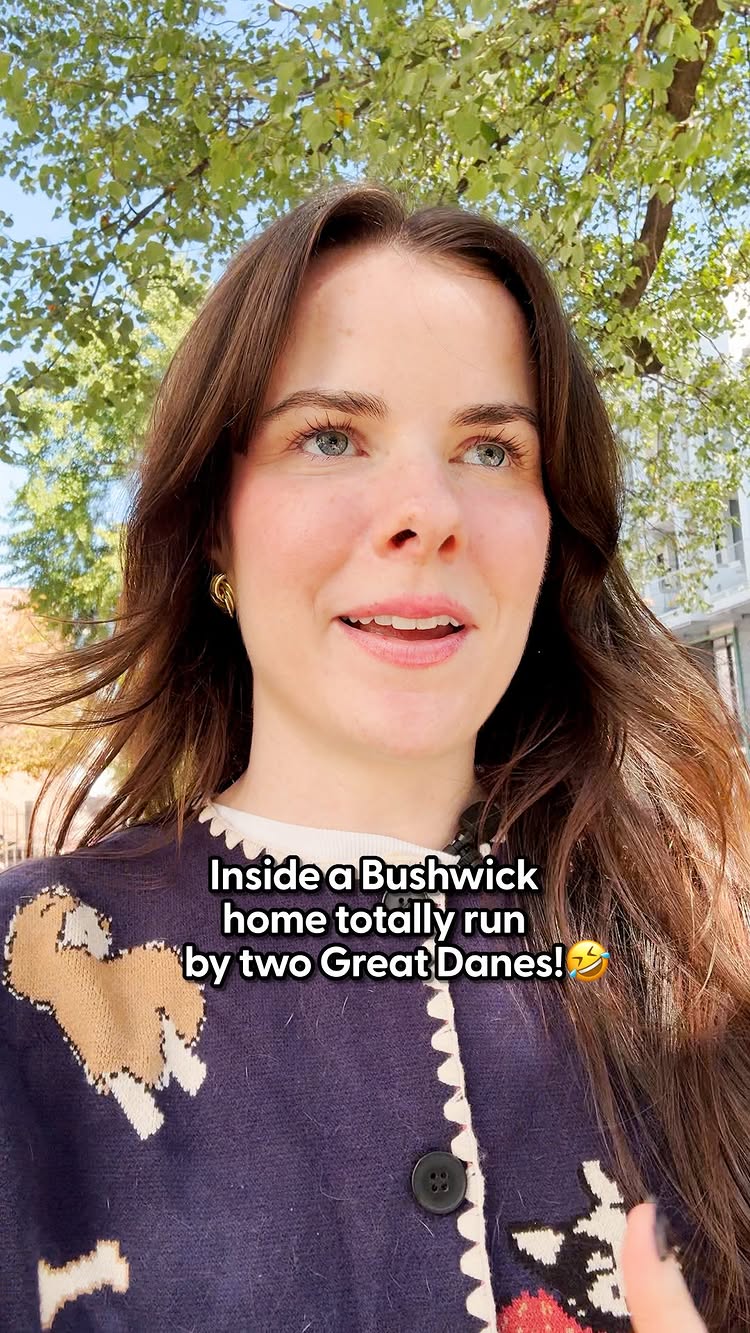 Instagram post by @themeldemi for The Dodo. Caption reads: They basically run the space 😂

Host Isabel Klee....