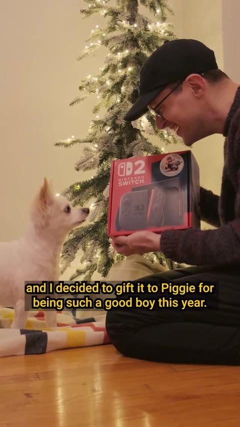 Instagram post by @halfmoonjoe for Nintendo. Caption reads: Thanks @nintendoamerica for sending this to....