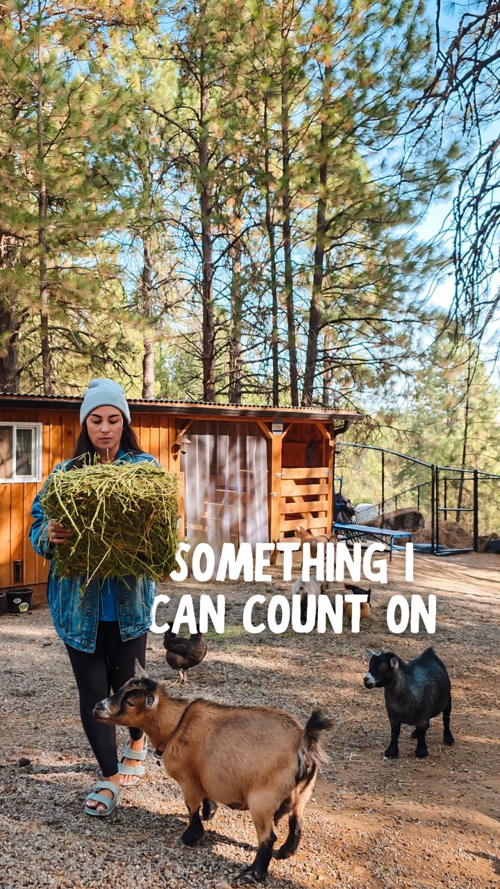 Instagram post by @thebudgetmom for Metro by T-Mobile. Caption reads: Most days feel like a blur — between kids,....