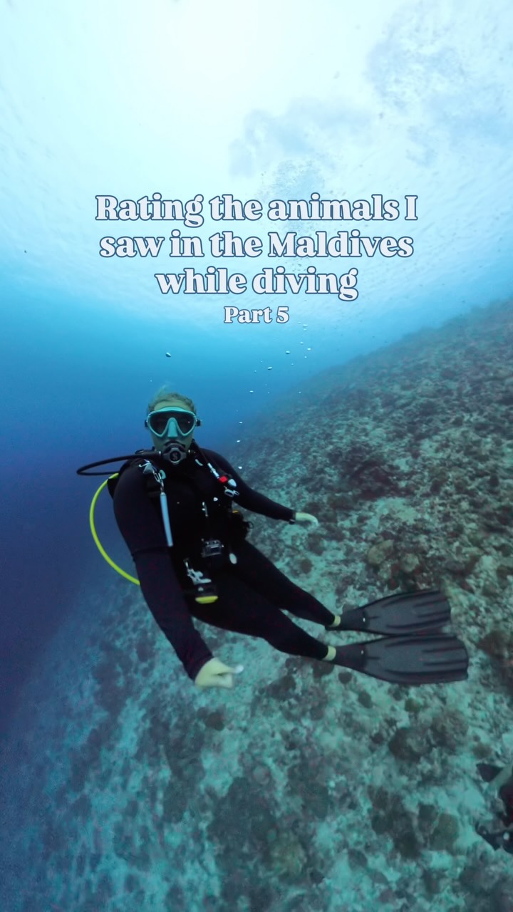 Instagram post by @daily_scuba_photos for Insta360India. Caption reads: Are we already at part 5? 🤯 if I show them all....