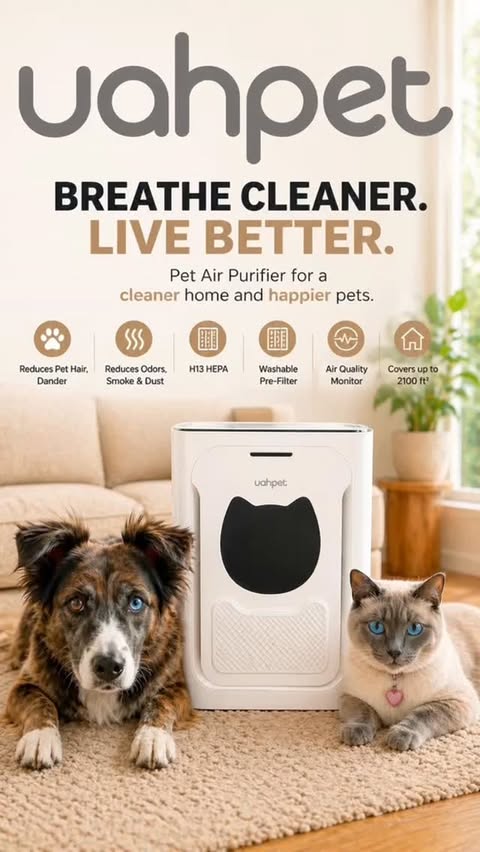Instagram post by @stardiamond_67 for Uahpet. Caption reads: @uahpet_official I’ve noticed a real difference....