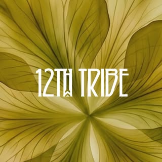 12th Tribe