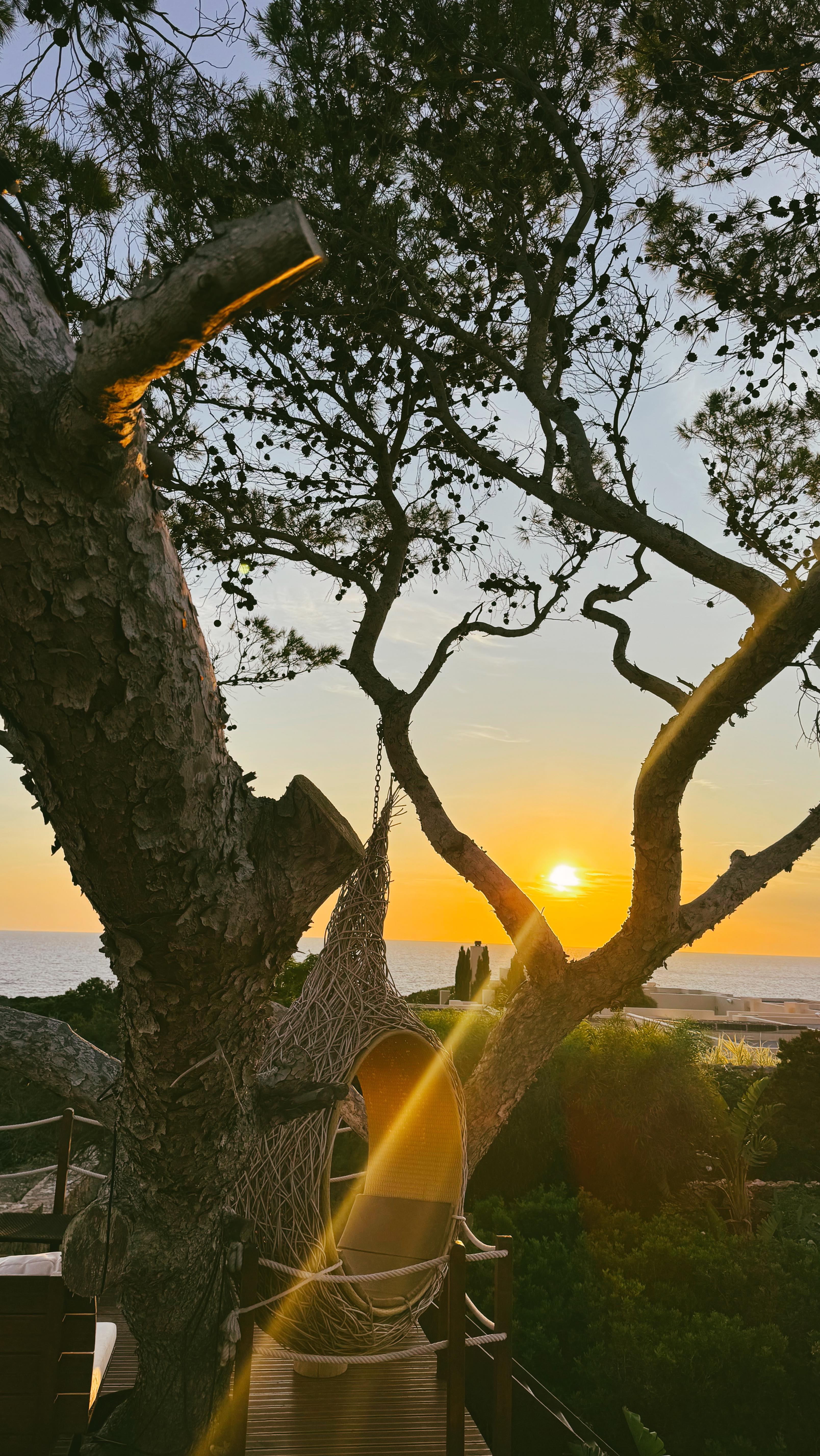 Instagram post by @bearchidona for Ploom. Caption reads: Y esto son solo unos segundos de todo lo vivido en....