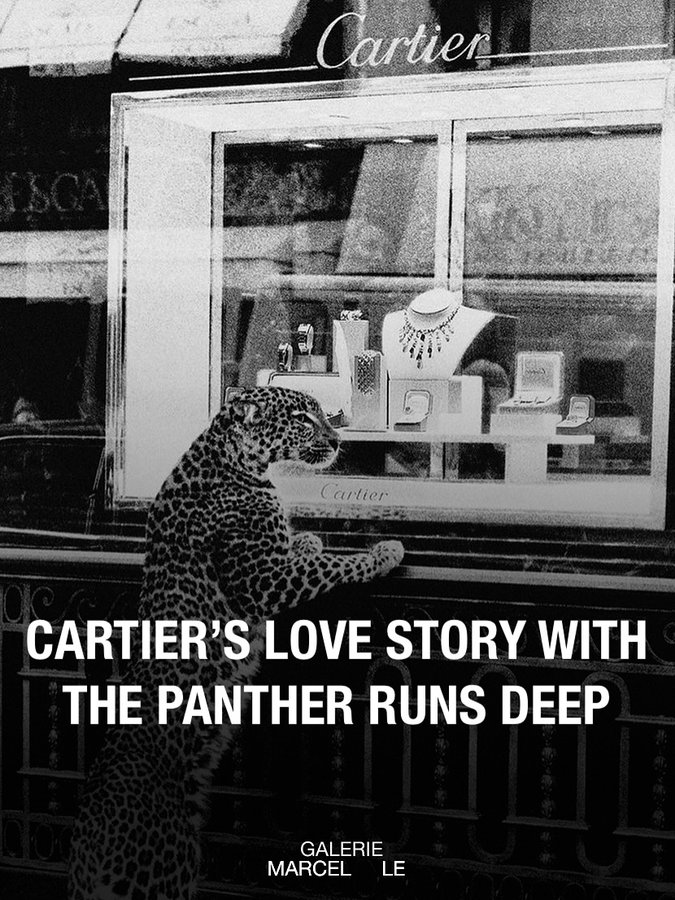 Instagram post by @galerie_marcelle for Cartier. Caption reads: Cartier’s love affair with the panther began in....