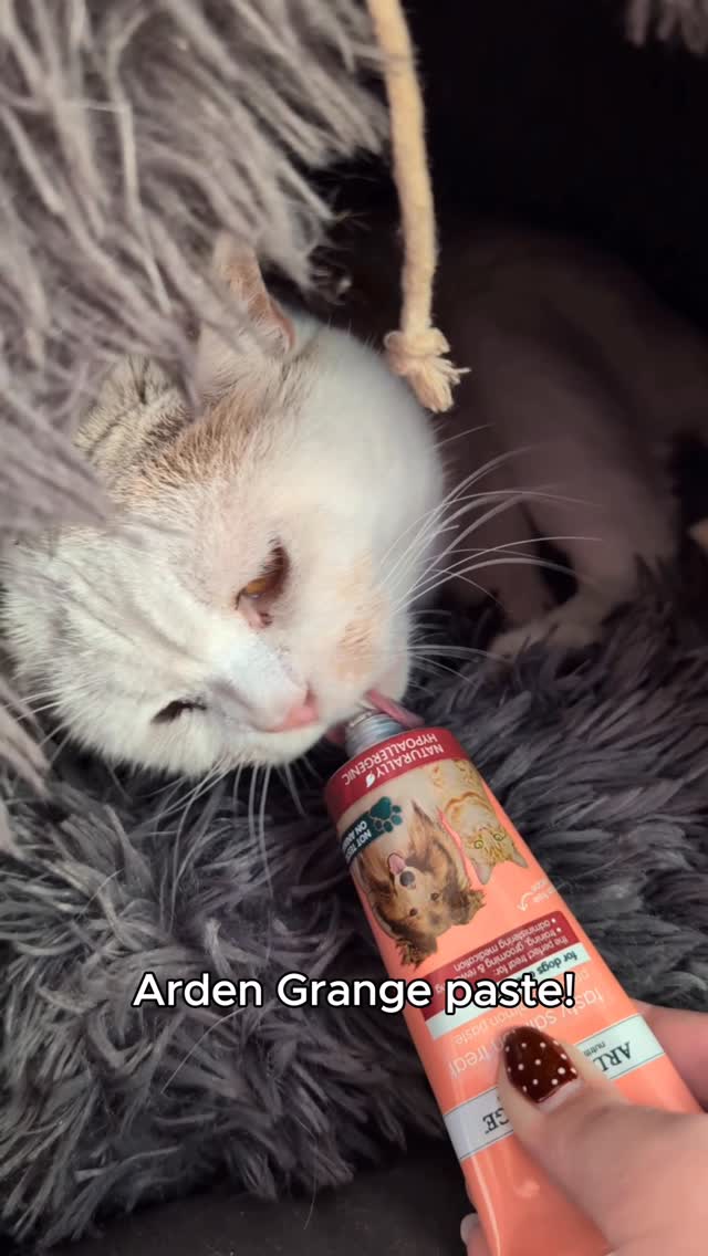 Instagram post by @manytearsrescue for Arden Grange. Caption reads: 🐾 Happy Caturday! 🐾
We feel so lucky to welcome....