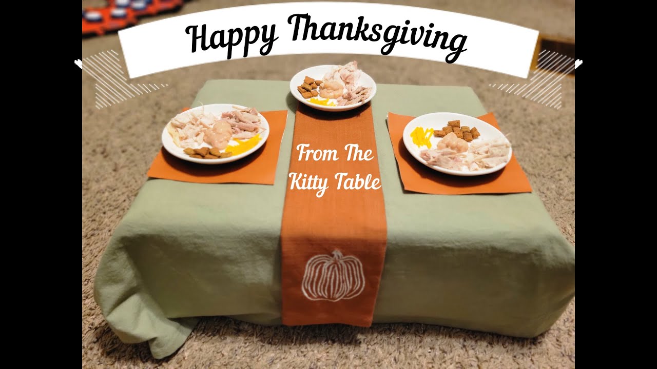 YouTube post by @TheChroniclesofToddToddTalks for Zazzle. Caption reads: Thanksgiving From The Kitty Table 2025.