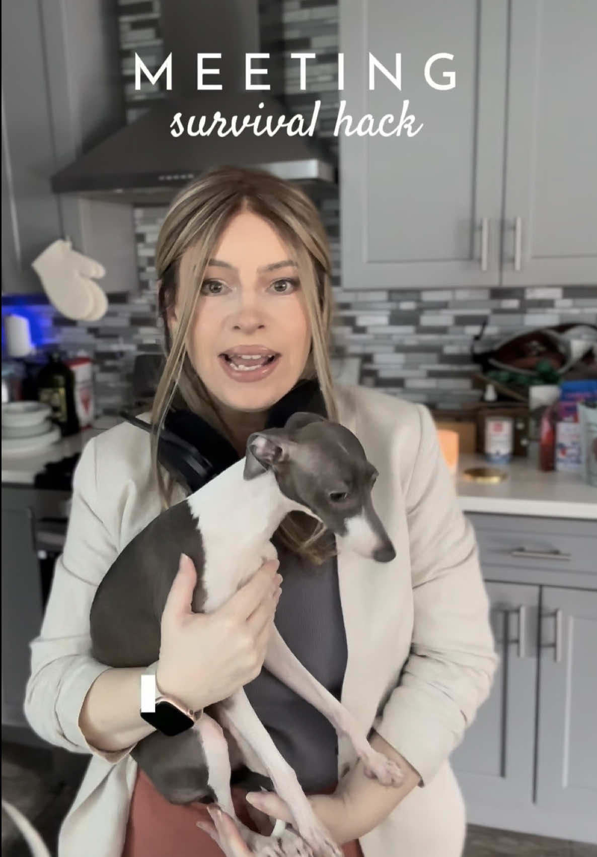 TikTok post by @bambi.la.iggy for Freezbone. Caption reads: [...] cute…until you have meetings 😅 This....