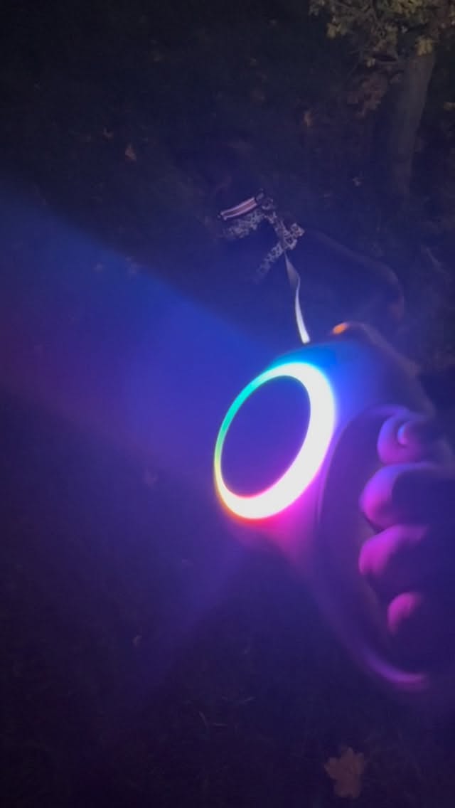 Instagram post by @coco_chanel_sausage for FidaPet. Caption reads: When your @fidapet lead lights up… and so does....