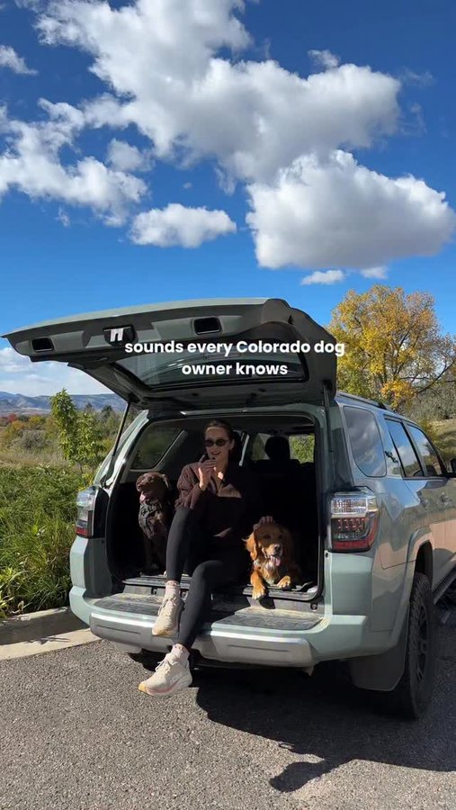 Instagram post by @denverdogguide for ORIJEN Petfoods. Caption reads: If you know these sounds, you know fall in....