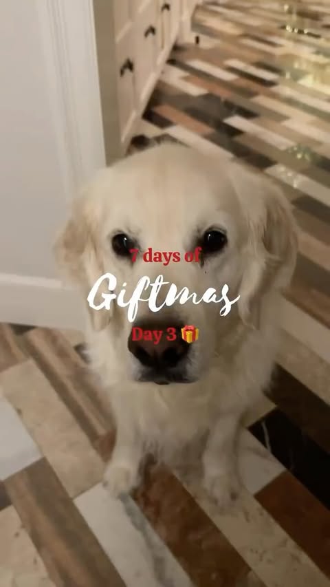 Instagram post by @thesavvyspoon for Lola Blankets. Caption reads: [...] DAY 3! excited to giveaway a LARGE....