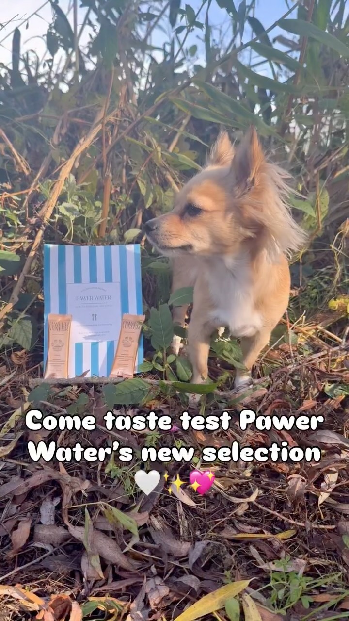Instagram post by @sydneythechi for Pawer Water. Caption reads: Come and try @pawerwater new supplement with us🥰....
