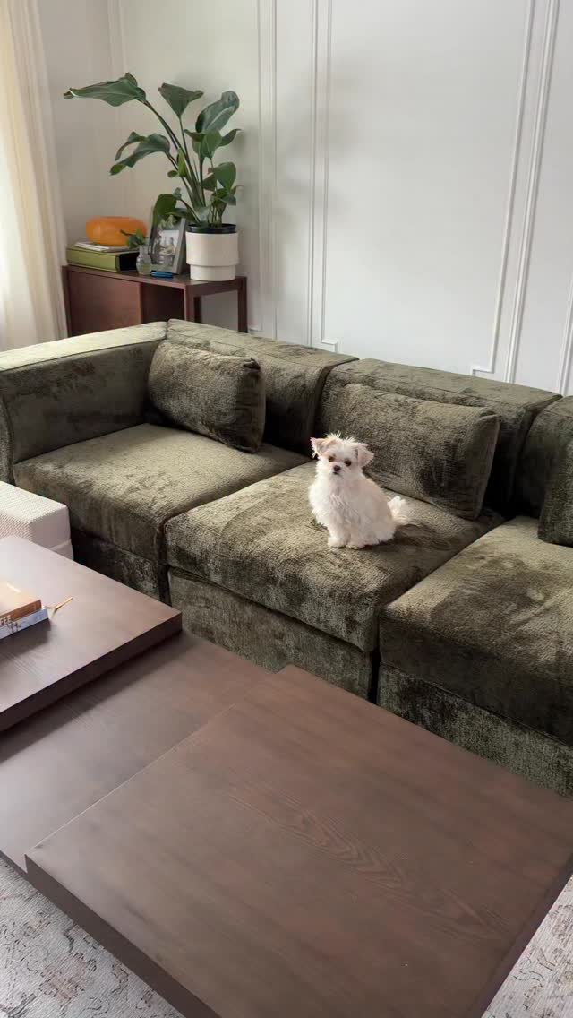 Instagram post by @rachelhaneats for Cozey. Caption reads: If you’ve been thinking about a @cozey couch,....