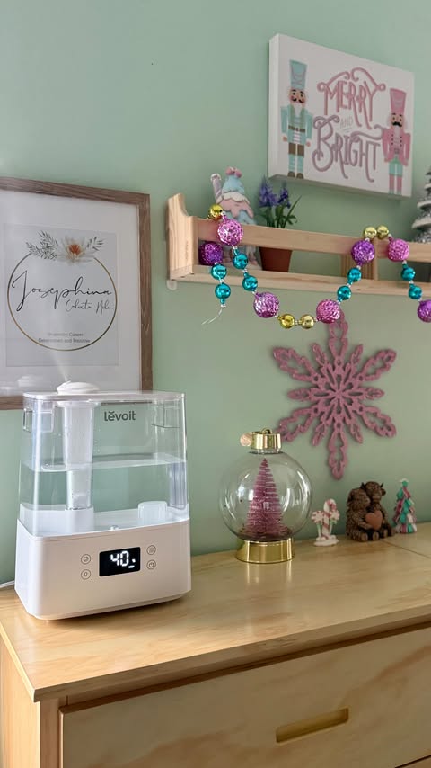 Instagram post by @sarahjaynexplores for Levoit. Caption reads: [...] addition from Walmart.com — the Levoit....