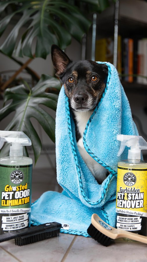 Instagram post by @adventuringwithmutts for Chemical Guys. Caption reads: [...] turn your house into a mess?! #ad....