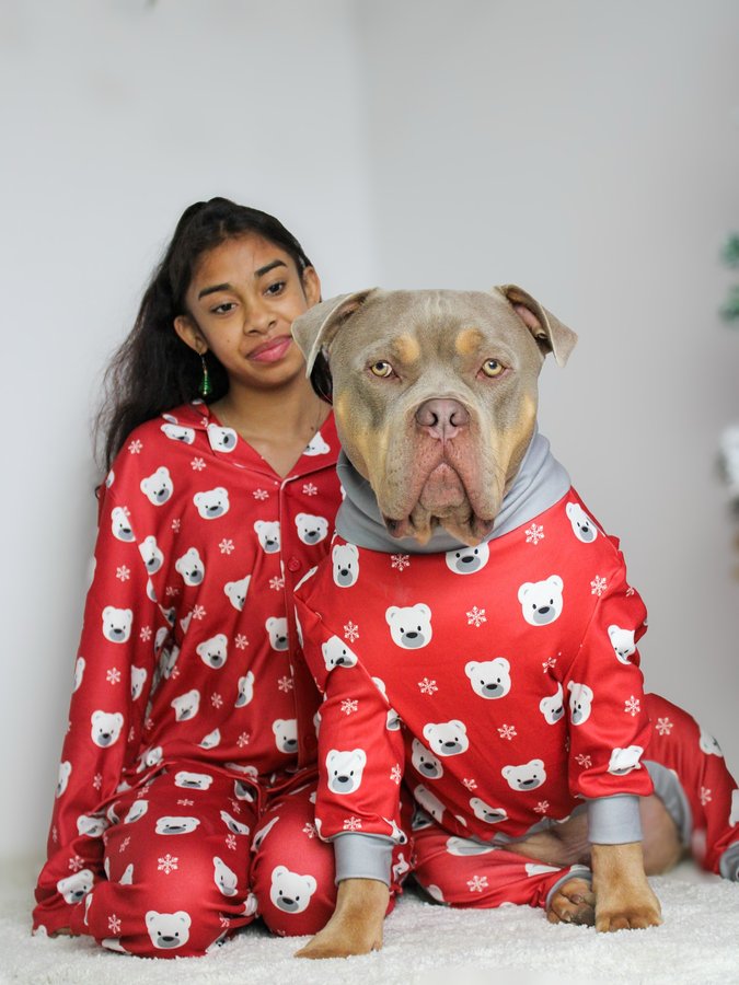 Instagram post by @justgunnerstunner for Spark Paws. Caption reads: I heard we are allowed to start getting in the....