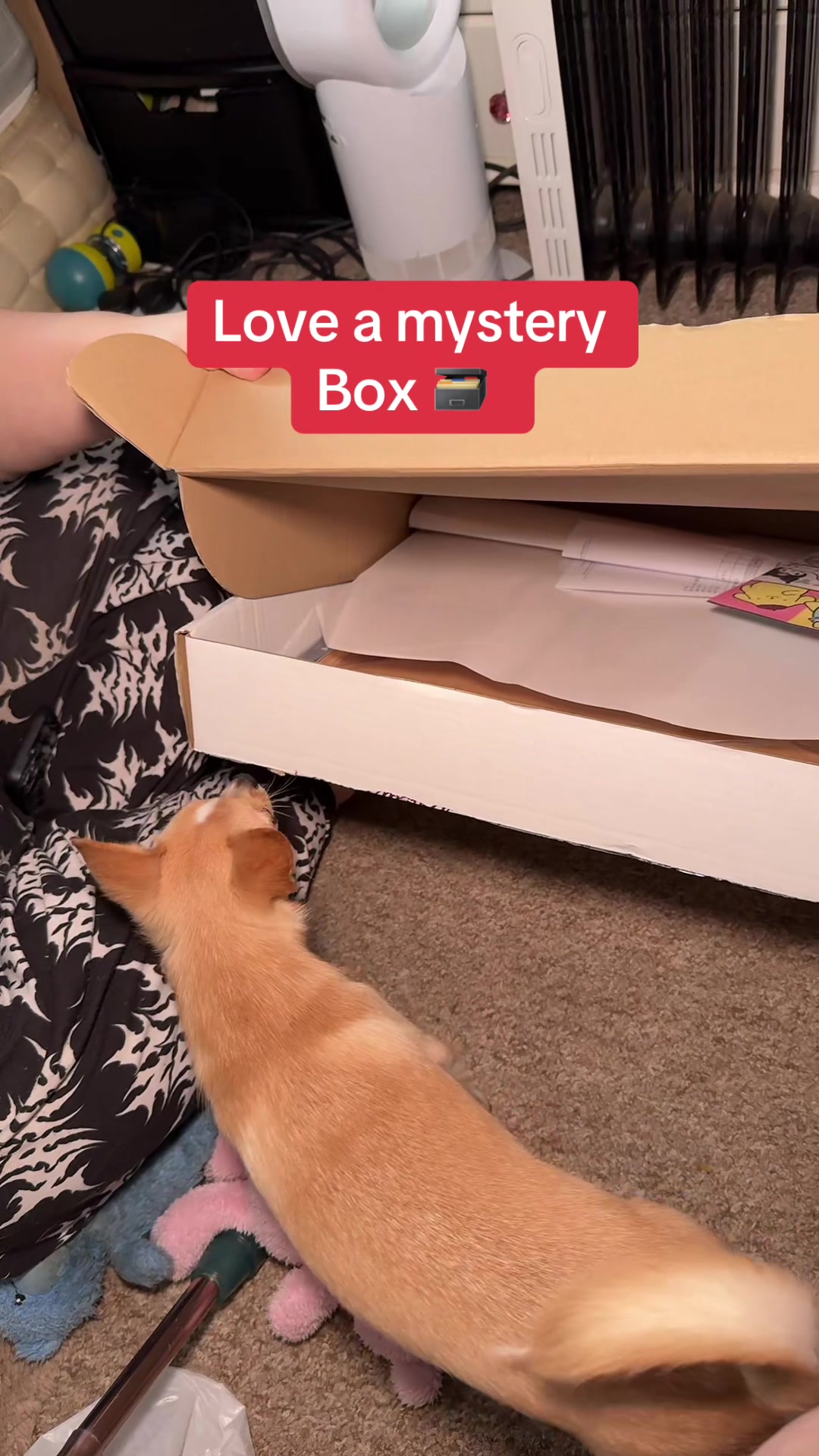 TikTok post by @tracytb1 for Craft Buddy. Caption reads: [...] box and even better when it’s from @Craft....