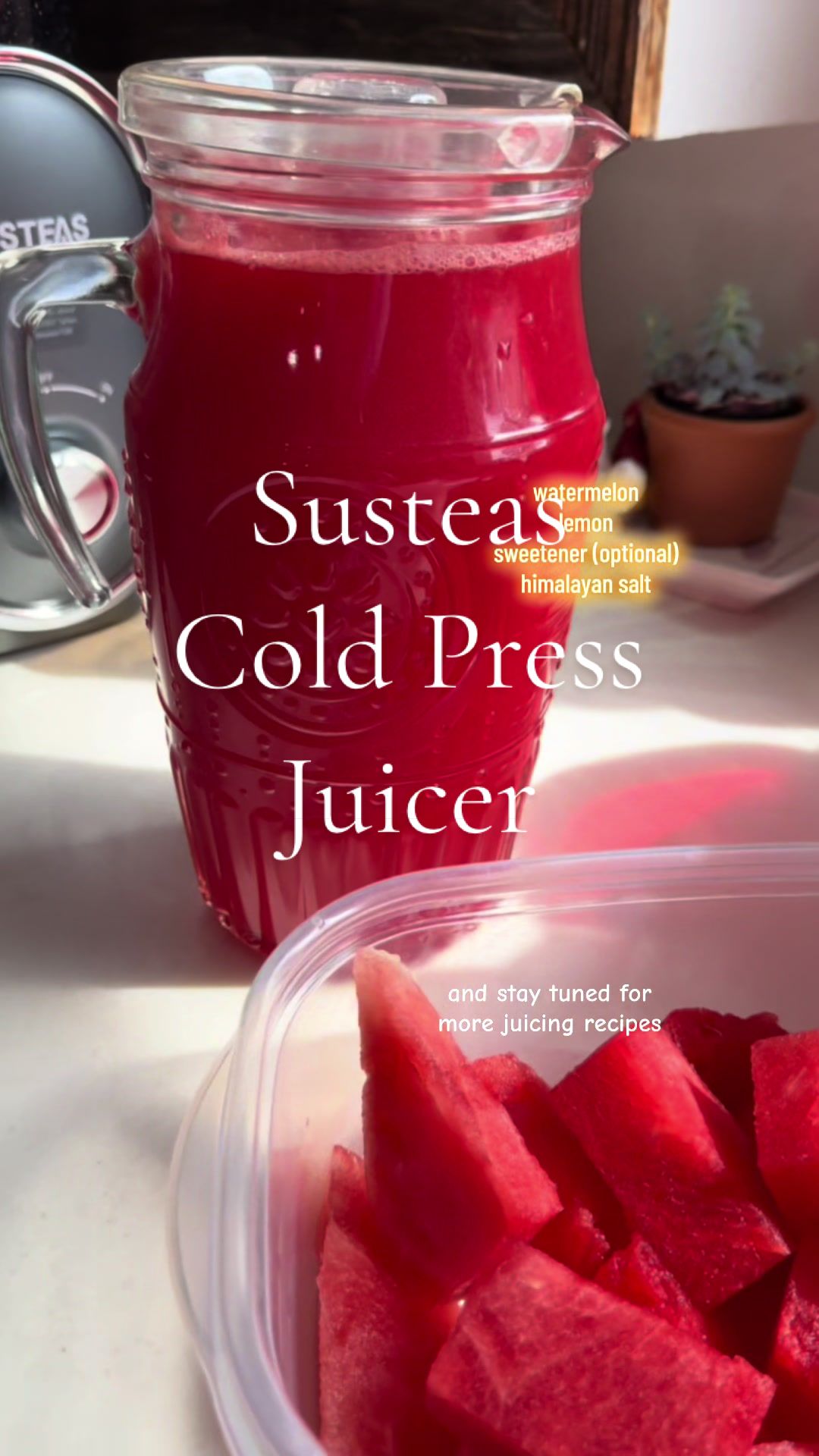 TikTok post by @rebeccalynnflores for SUSTEAS. Caption reads: [...] refreshing watermelon juice with our Susteas....