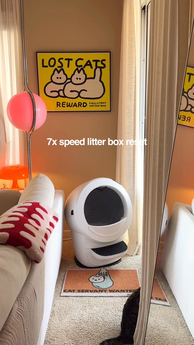 Instagram post by @indoorcatkiwi for MICHUPET. Caption reads: [...] on speed cleaning tiktok 

litter from....