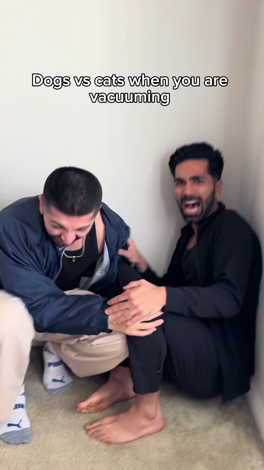 TikTok post by @ariaaisdelux for Levoit. Caption reads: Dogs vs cats when you are vacuuming. #fyp #humor....