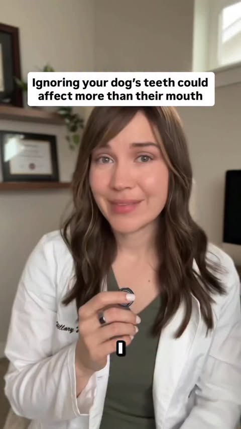 Instagram post by @doctorwolfe.dvm for Fera Pets. Caption reads: [...] send you the link (and 20% off!) for....