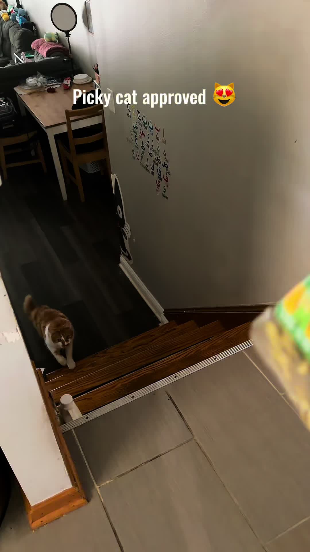 TikTok post by @mzblesschaos for Just Try Pet US. Caption reads: [...] cat, you NEED to try these! 🌿🐔@Just Try....