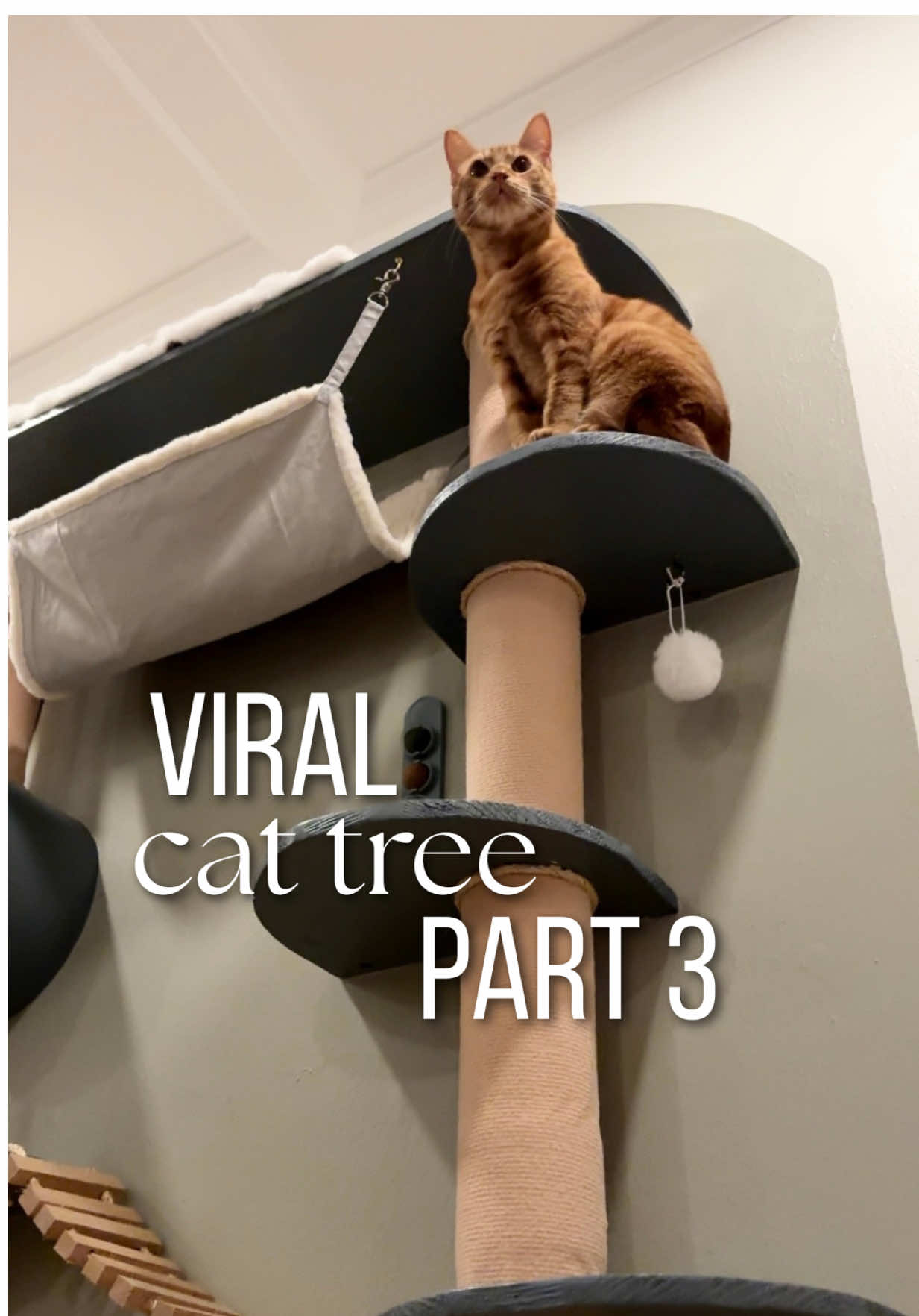 TikTok post by @a.dabbled.dwelling for PrettyLitter. Caption reads: [...] (because enthusiasm = rejection),....