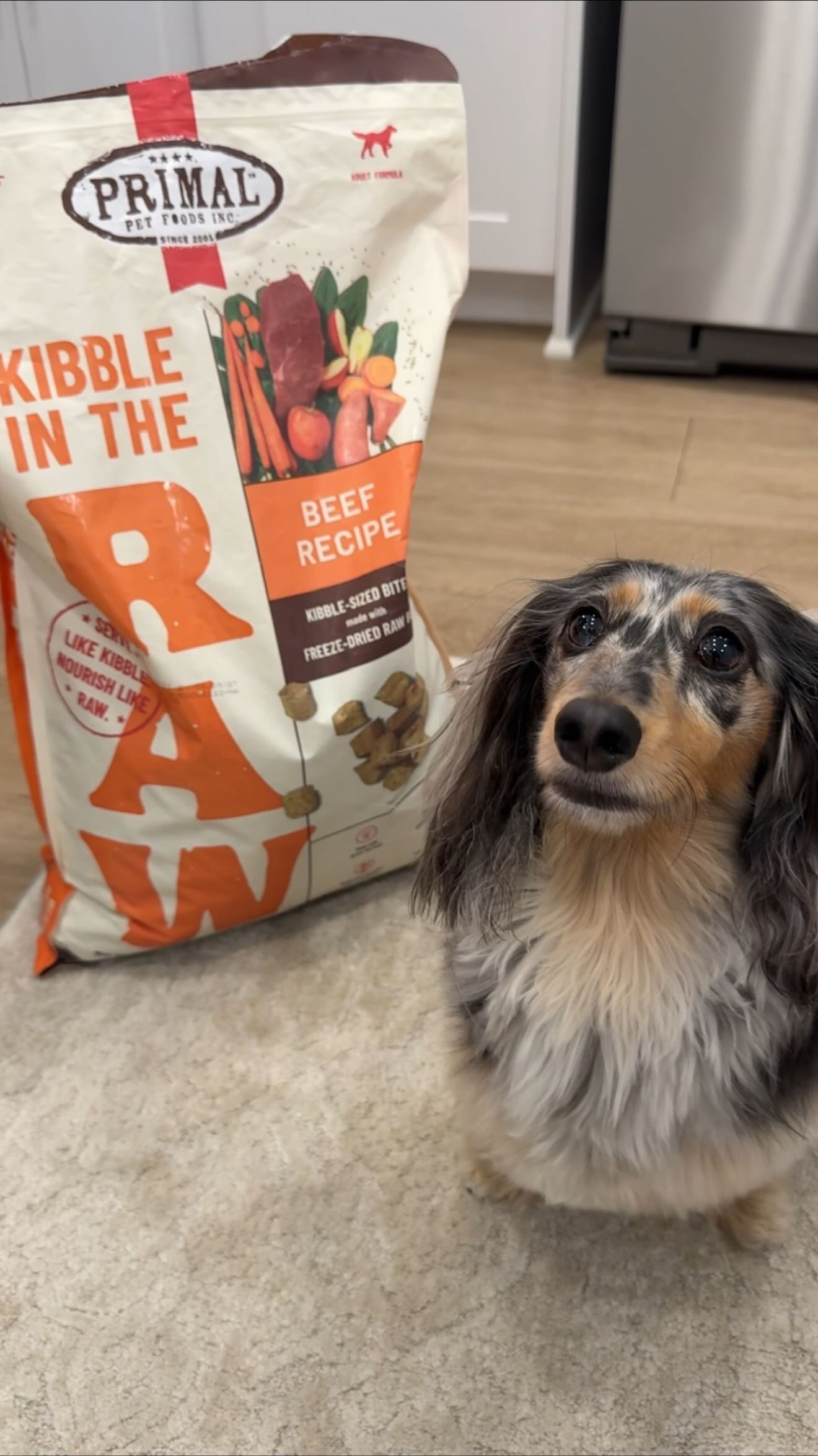 Instagram post by @emmymedders for Primal Pet Foods. Caption reads: Minnie’s day always starts with @primalpetfoods 🐾....