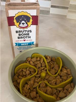 TikTok post by @mauidagolden for Brutus Broth. Caption reads: [...] food, and clearly he approves. @Brutus Broth....
