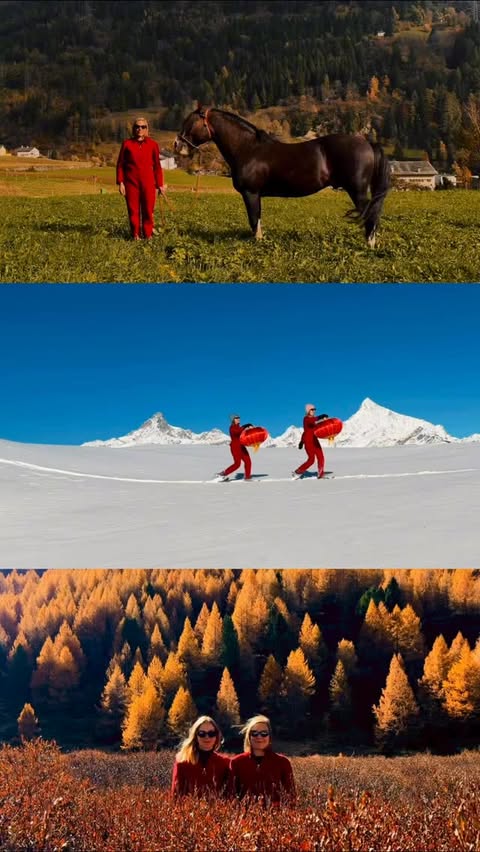 Instagram post by @cindywinkelried_illus for Switzerland Tourism. Caption reads: Together with Swiss Tourism (@switzerland) we....