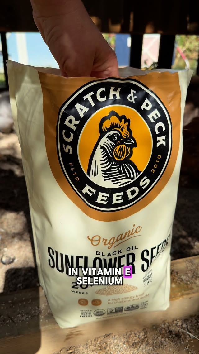 Instagram post by @purelychickens for Scratch and Peck Feeds. Caption reads: @scratchandpeckfeeds has great feed and snacks for....