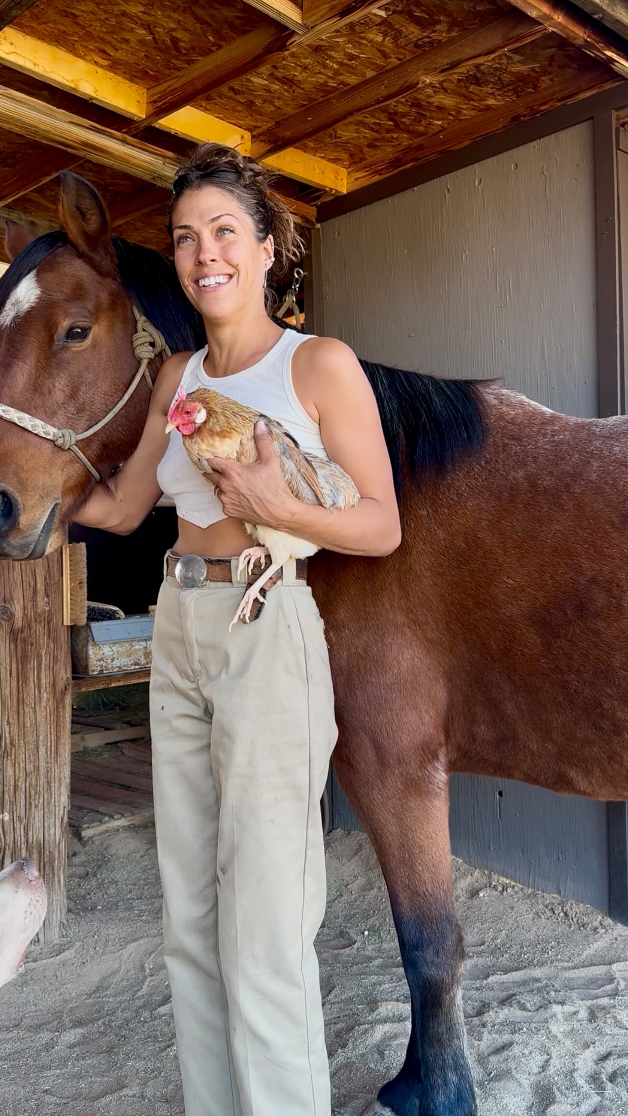 Instagram post by @rachel_metz for Dickies. Caption reads: [...] excuse to not gift the ones you love.....