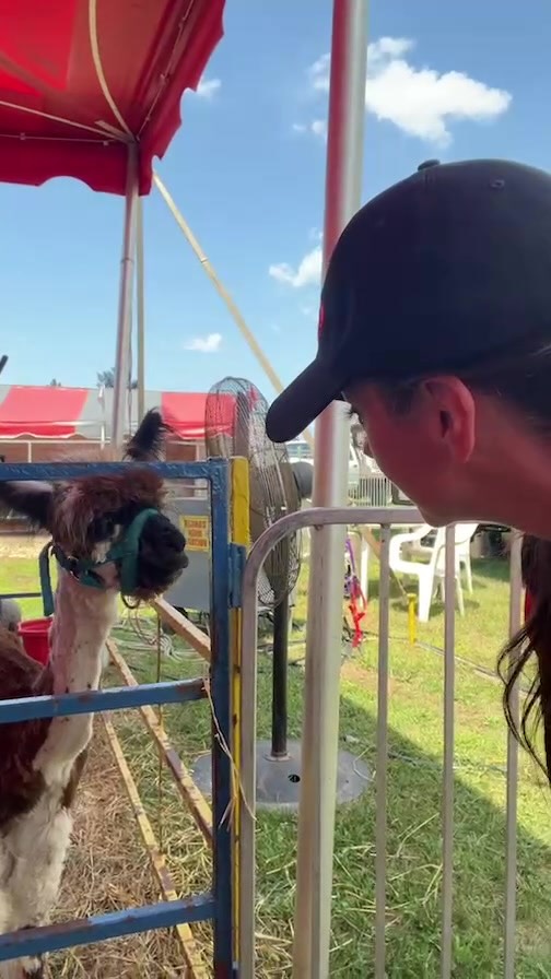 Instagram post by @njstatefair for Godshall's. Caption reads: Live from the @godshalls family entertainment area....