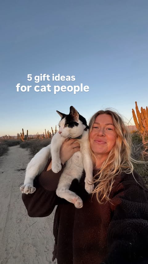 Instagram post by @quingable for Tractive. Caption reads: 5 Cat Gift Ideas for People Owned By Their....