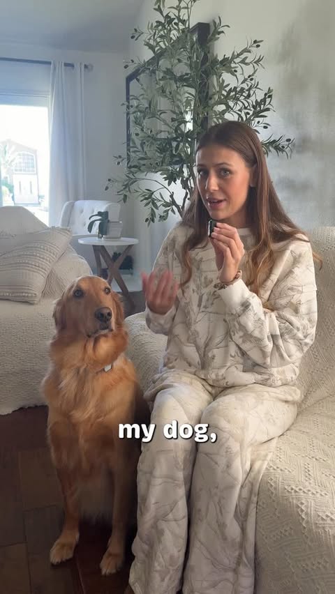 Instagram post by @doggycharly for The Farmer's Dog. Caption reads: [...] food just makes sense for them 🥕🐶....